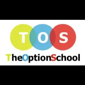The Option School Iron Condor Strategy Course
